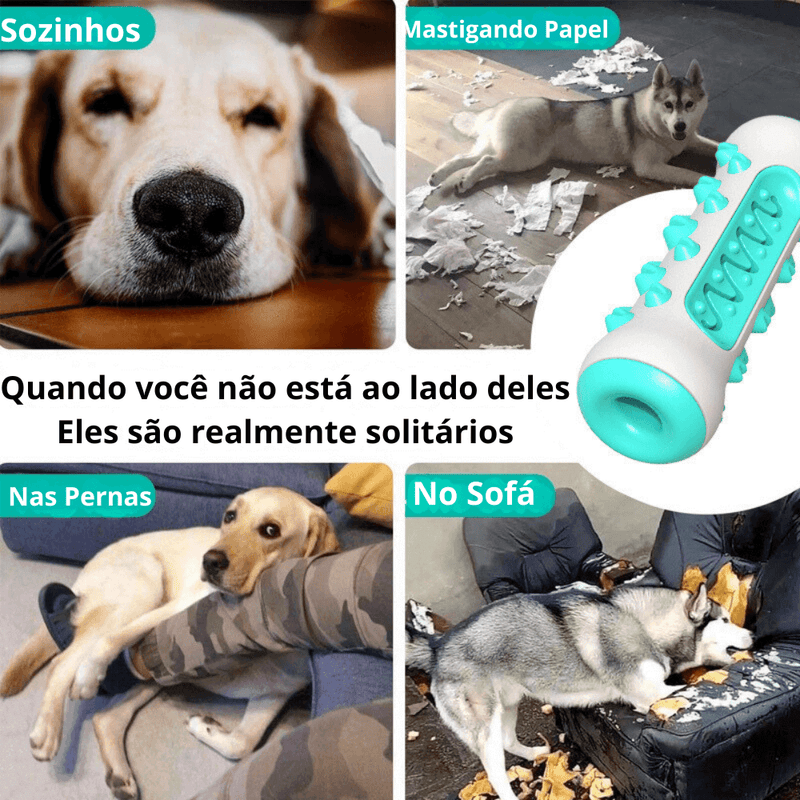 Brinquedo Mastigável para Limpeza de Dentes de Cães.